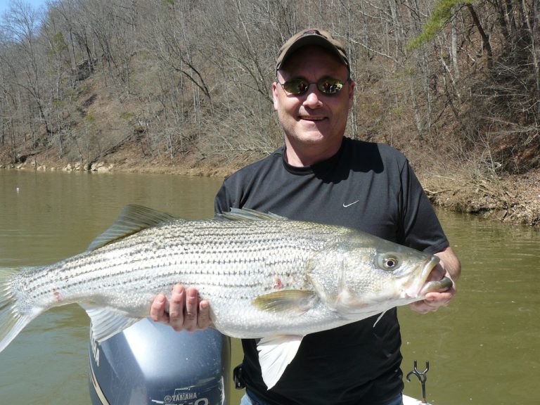 Read more about the article Bass Fishing Tips and Tricks For Your Central NJ Trip